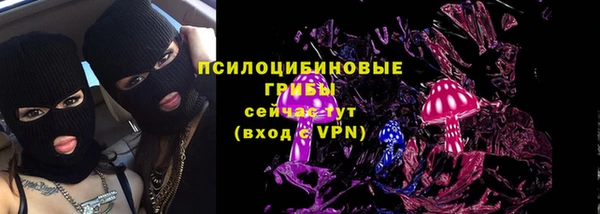молекула духа Богданович