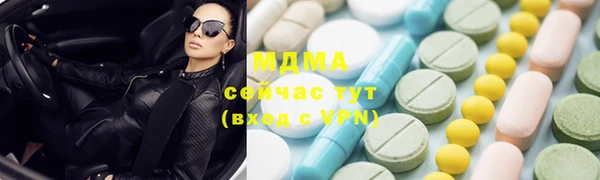 молекула духа Богданович
