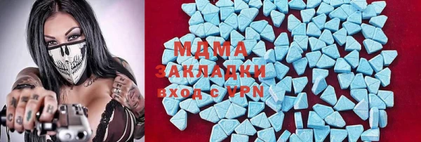 молекула духа Богданович
