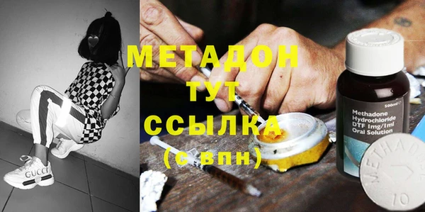 молекула духа Богданович