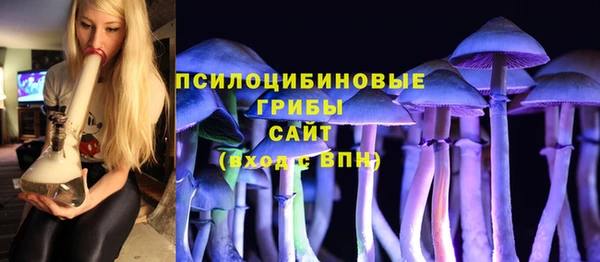 хмурый Бронницы
