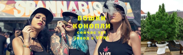хмурый Бронницы
