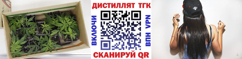 ТГК гашишное масло  Котельнич 